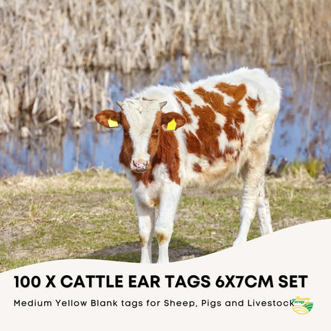 100x Medium Yellow Cattle Ear Tags 6x7cm - Durable Livestock Labels