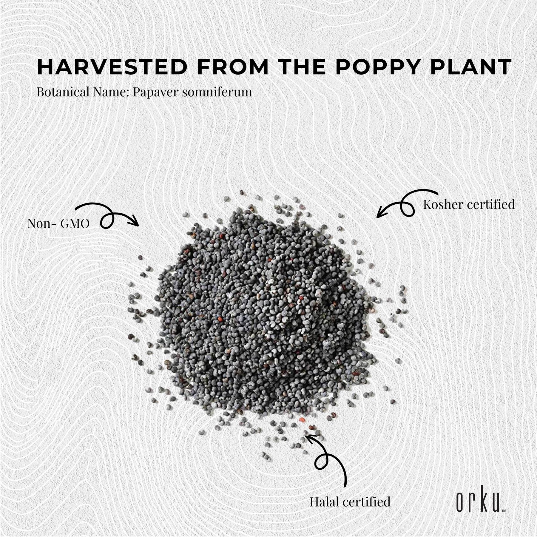 1Kg Poppy Seeds Unwashed Papaver Somniferum For Baking and Decoratingg - SuperSaverAU - view 5