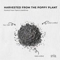 800g Poppy Seeds Unwashed Bucket Papaver Somniferum For Baking and Decorating - SuperSaverAU - view 5