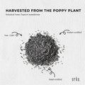 2Kg Poppy Seeds Unwashed Papaver Somniferum For Baking and Decorating - SuperSaverAU - view 5