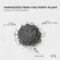 20Kg Poppy Seeds Unwashed Papaver Somniferum For Baking and Decorating - SuperSaverAU - view 5