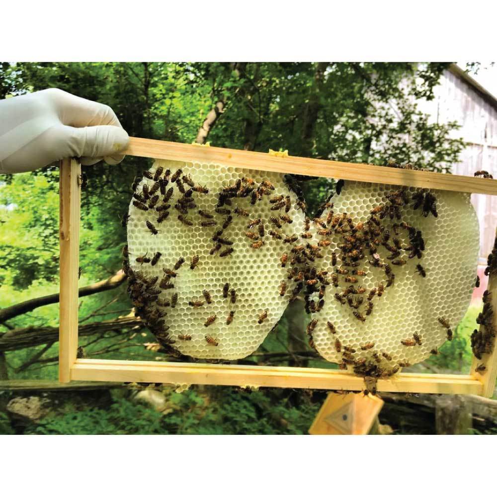 10Kg Orku Australian Beeswax Chunks - Pure Natural Unrefined Raw Bulk