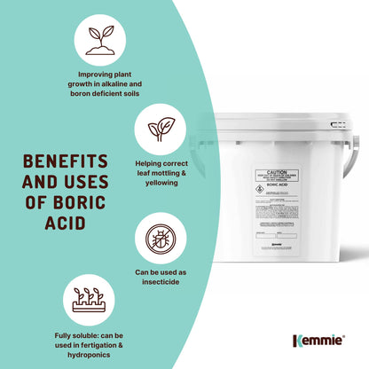 Boric Acid Powder 1Kg - 99.9% Pure, Fully Soluble, Pest Control for Ants & Roaches