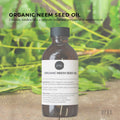 Orku 100ml Organic Neem Seed Oil  Debitterised Cold Pressed Azadirachtin Indica