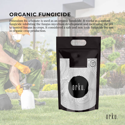 5Kg Organic Potassium Bicarbonate Powder - Food Grade for Baking & Brewing