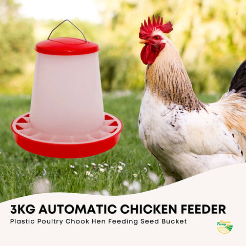 Rooster Farms 3Kg Automatic Chicken Feeder - Plastic Poultry Seed Bucket - SuperSaverAU - view 2