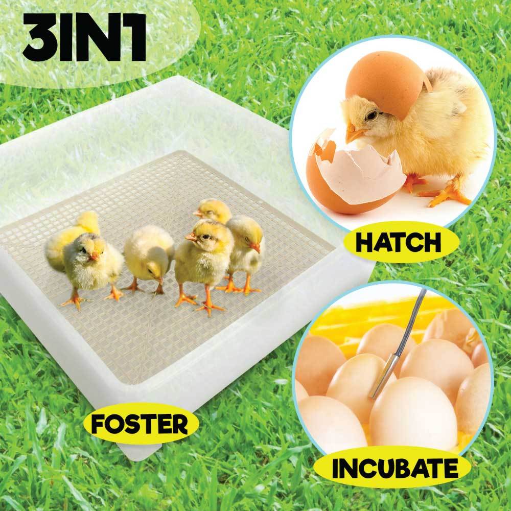 Electric 112 Egg Incubator with Accessories, Automatic, Digital Display, Yellow - SuperSaverAU - view 10