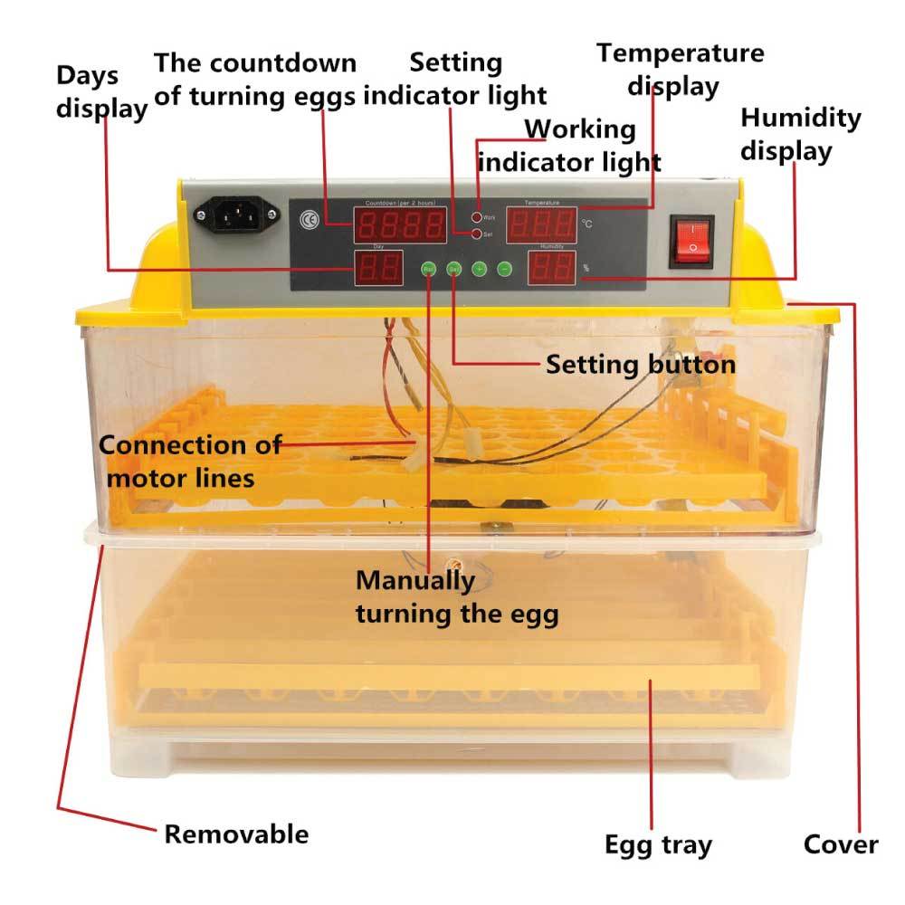 Premium Rooster Farms Automatic Electric Egg Incubator Kit - 96 Eggs