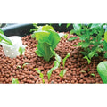 Hydro Clay 50L Premium Expanded Clay Balls for Hydroponic Plant Growth - SuperSaverAU - view 2
