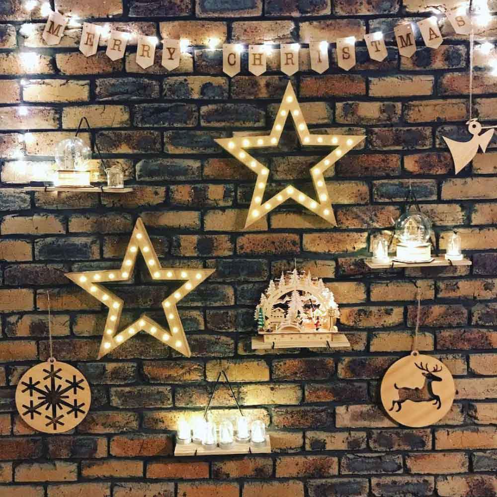 The Brick Hook 5 Pack 120mm (4.7") Spring Steel Clips for Hanging Plants & Pictures