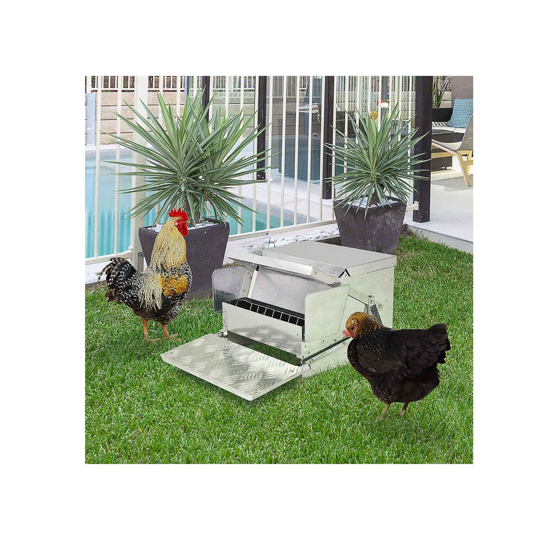 9kg Automatic Chicken Feeder Treadle - Aluminium & Galvanised Steel, Rust-proof - SuperSaverAU - view 5