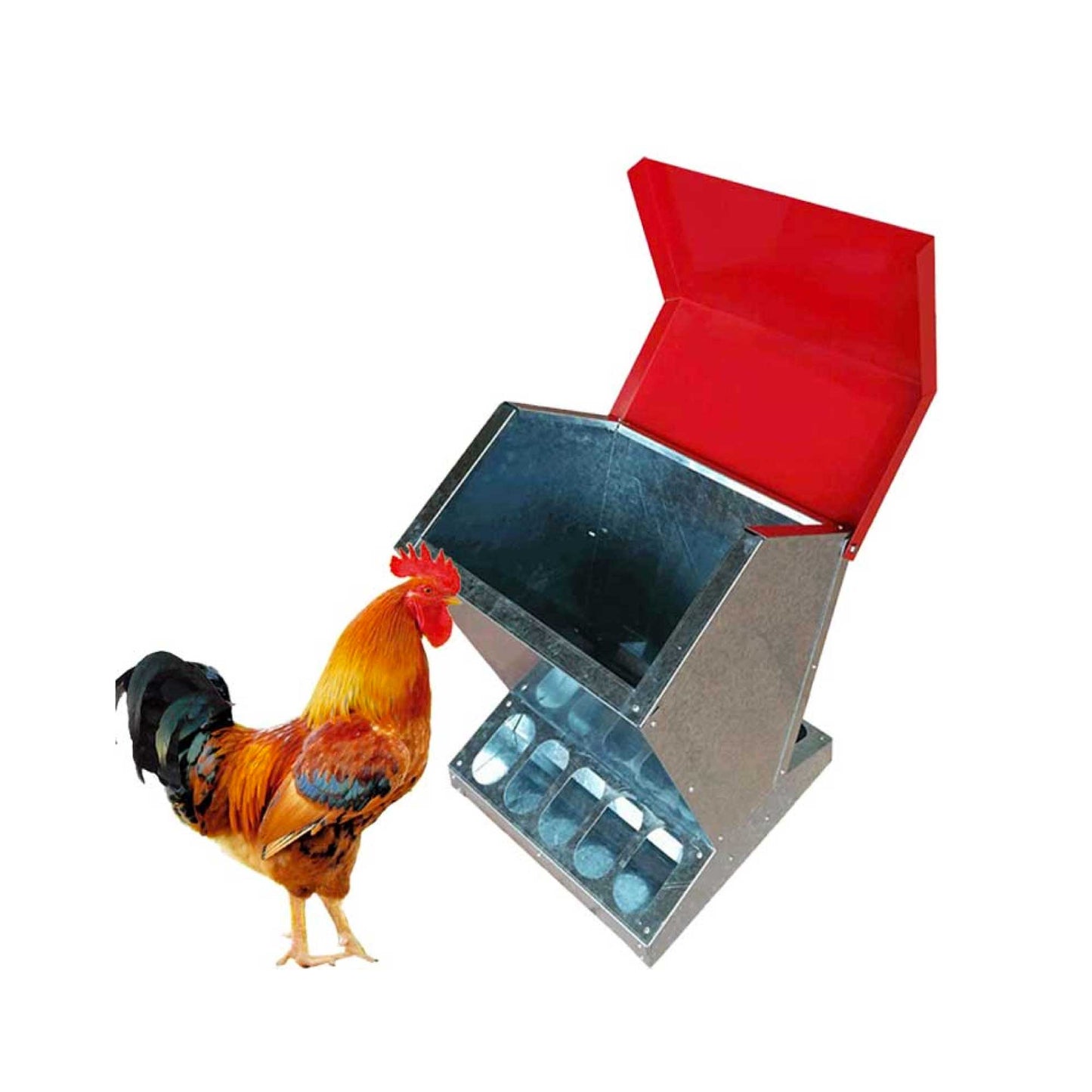Galvanised Steel 10kg Automatic Chicken Feeder Trough - Rust-proof, Self Feed