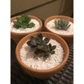 Orku Super Coarse Perlite Growing Medium - 10L