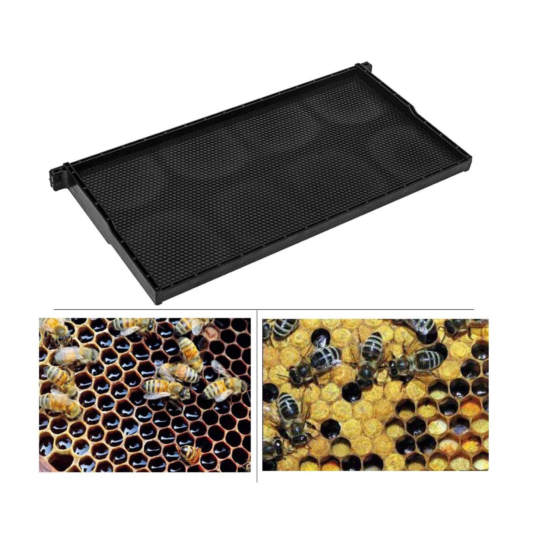 Langstroth Beehive Deep Box - 20x Plastic Frames & Foundations, Black, Assembled - SuperSaverAU - view 3