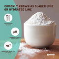 Bulk 20Kg Food Grade Calcium Hydroxide Powder FCC Hydrated Slaked Pickling Lime