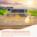 Electric 48 Egg Incubator with Accessories, Auto Turning, Digital Display - SuperSaverAU - view 2