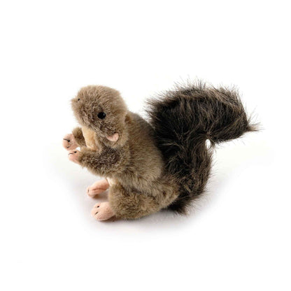 All For Paws Squirrel Plush Toy 16x18x5.5cm with Squeaker - Interactive Dog Toy