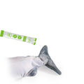 All For Paws Jittering Sardine Cat Toy 27cm with USB Rechargeable Catnip & Silvervine - SuperSaverAU - view 5