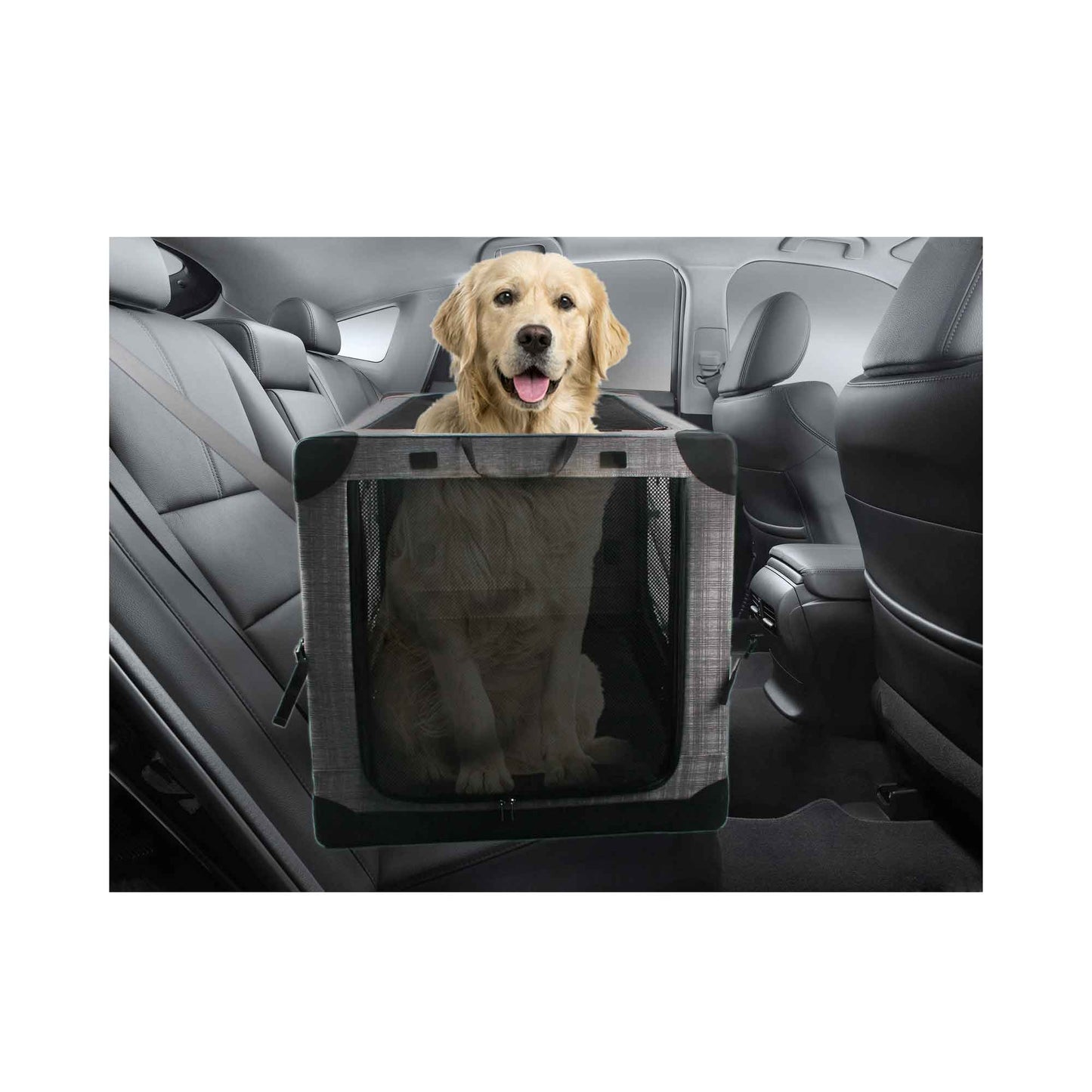 All For Paws Easy-Go Collapsible Pet Crate XL - Portable, Soft, Waterproof