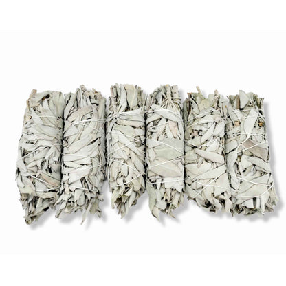6x Californian White Sage Smudge Sticks Medium 13-15cm Incense Cleansing Bundle