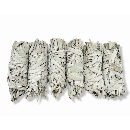 6x Californian White Sage Smudge Sticks Medium 13-15cm Incense Cleansing Bundle