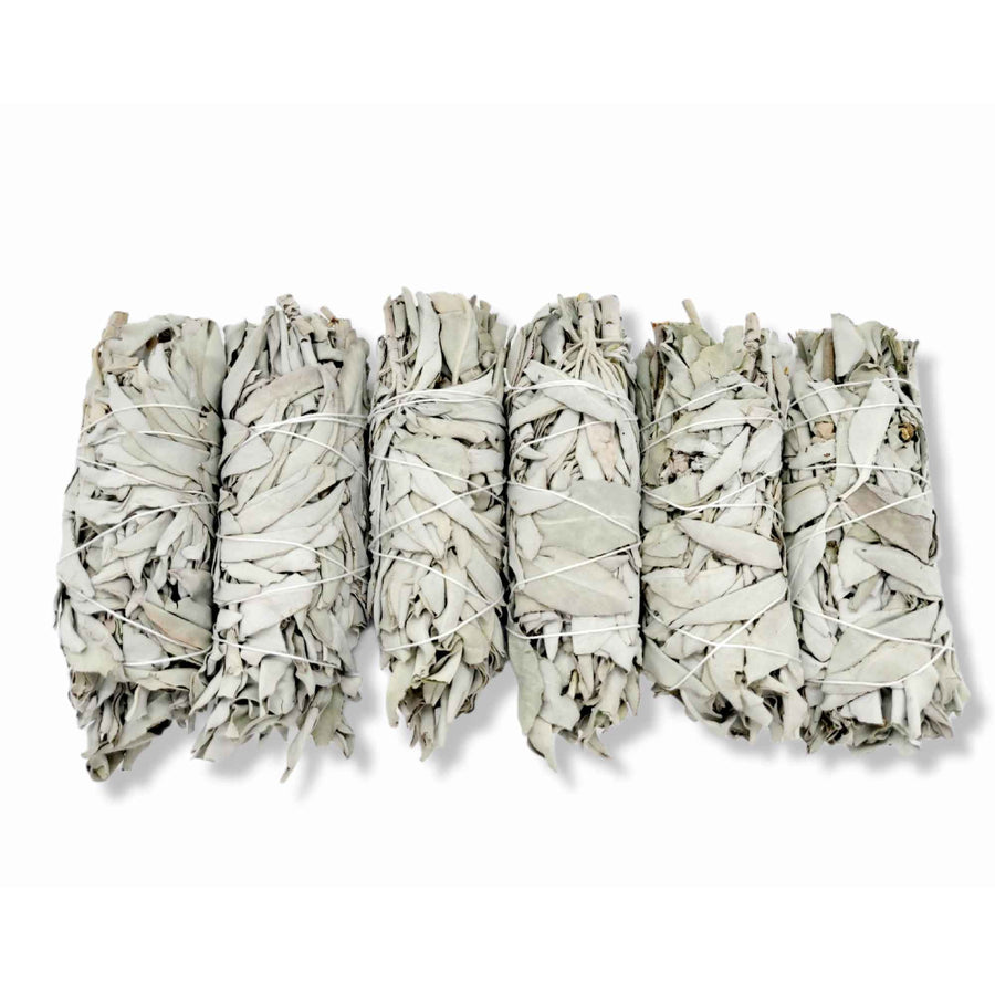 Californian White Sage Smudge Sticks Medium 13-15cm Wild Harvested Cleansing Bundle - SuperSaverAU - view 1