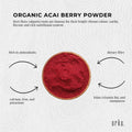10Kg Organic Beetroot Powder Bulk Superfood Beet Root Supplement Beta Vulgaris