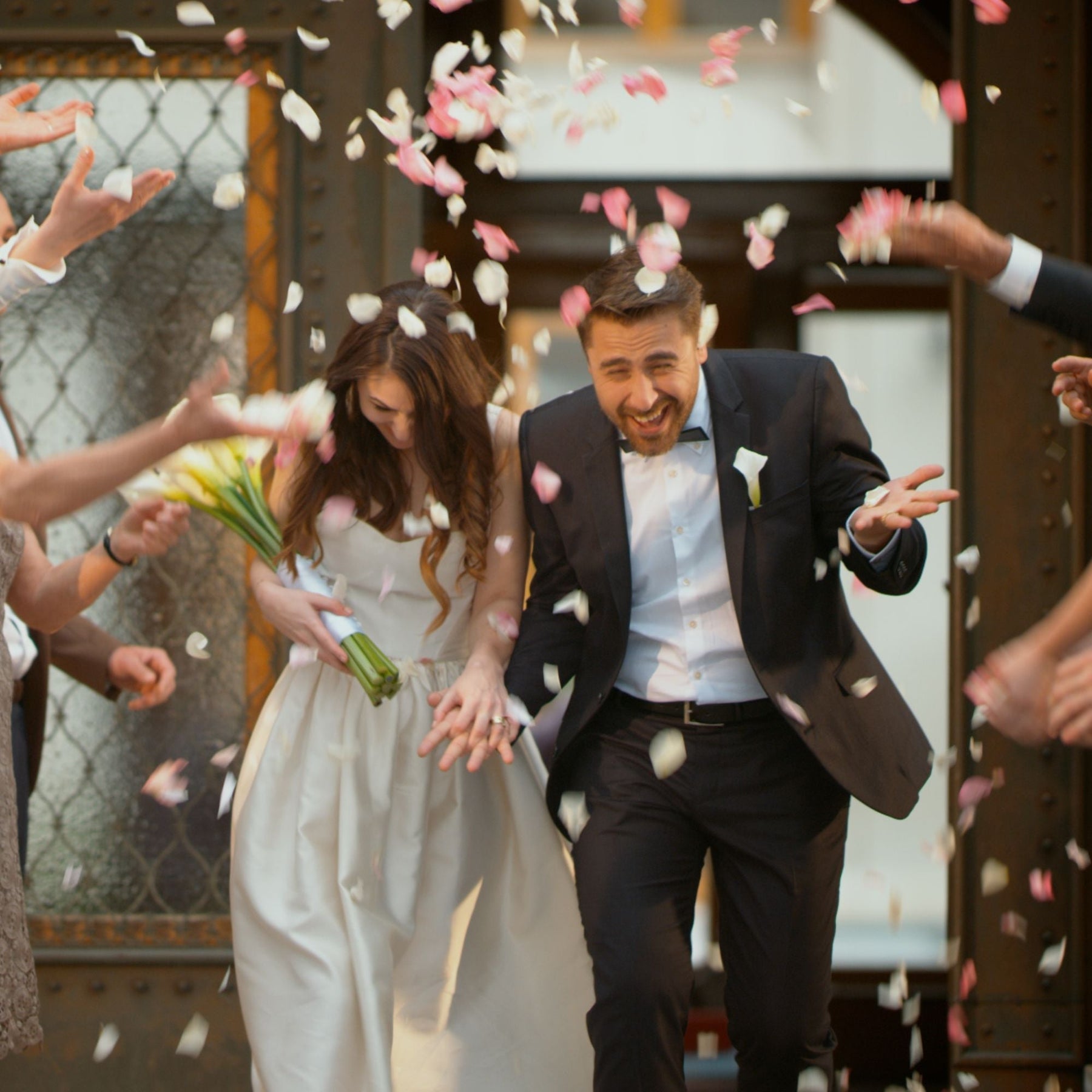 2Kg Bulk Organic Dried Red Rose Petals - Wedding Confetti Rosa Centifolia Flower - SuperSaverAU - view 3
