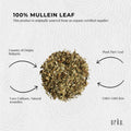 400g Organic Mullein Leaf - Dried Herbal Verbascum Thapsis - SuperSaverAU - view 5