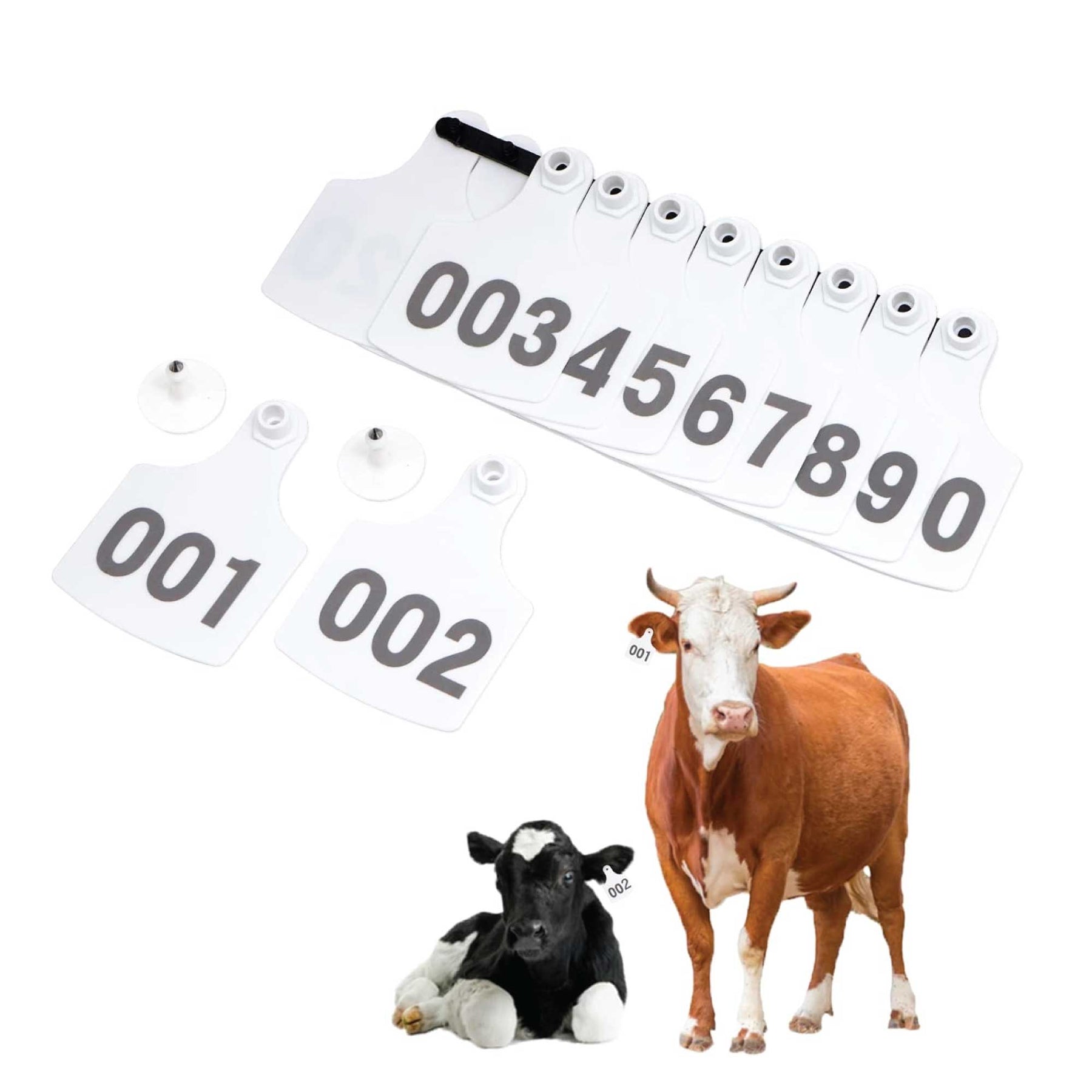 Cattle Ear Tags 1-100 Set - Medium White 6x7cm for Livestock Identification - SuperSaverAU - view 5