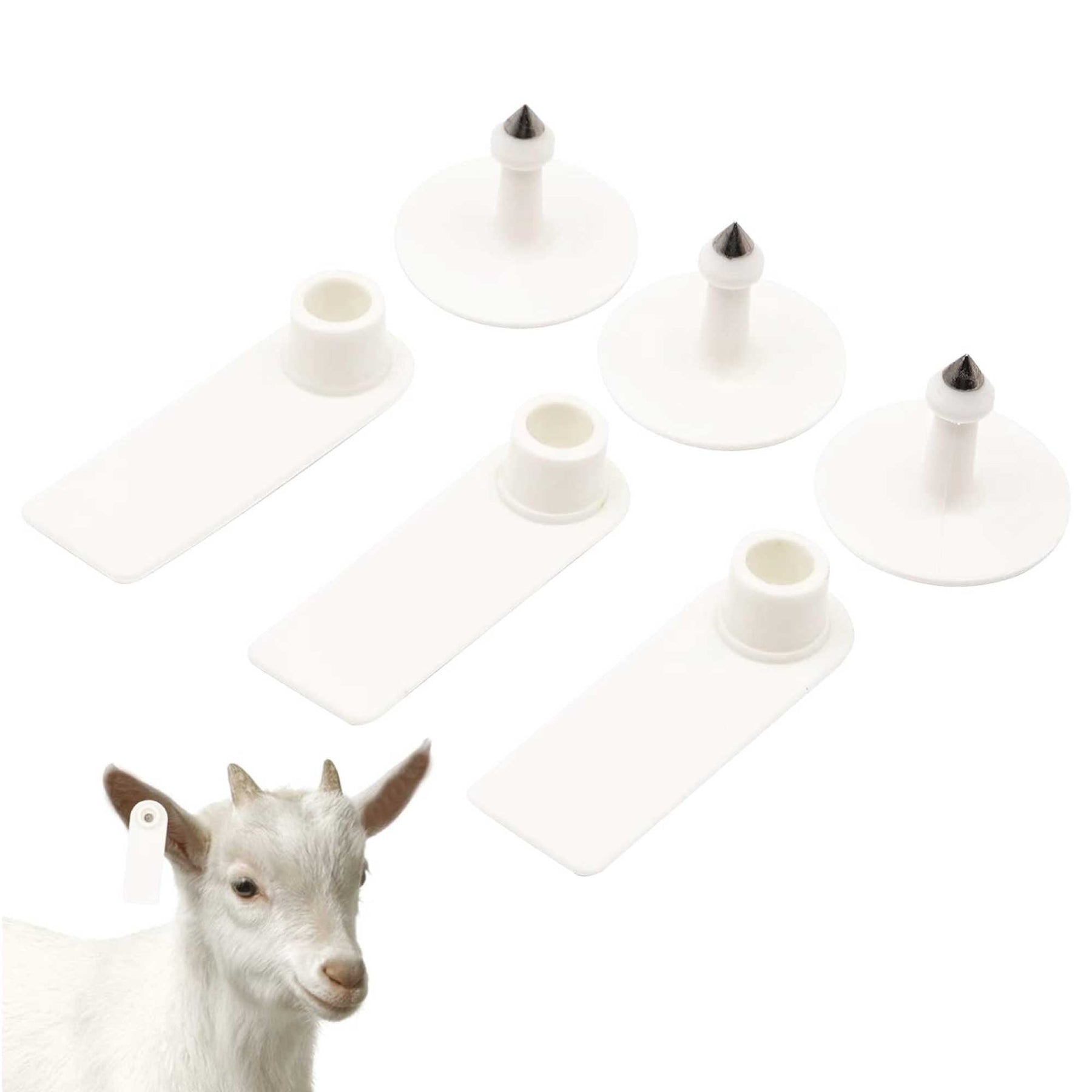 Cattle Ear Tags 100x Mini White 5x2cm Blank Labels for Livestock - SuperSaverAU - view 5