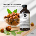 100ml Organic Jojoba Oil - Golden Pure Cold Pressed Seed For Hair Skin Nails - SuperSaverAU - view 2