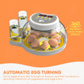 Automatic 8/18 Egg Incubator - Electric Turning, Dual Power Supply, Humidity Control - SuperSaverAU - view 4