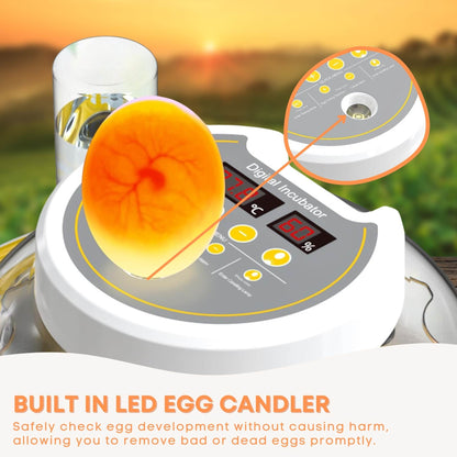 Automatic 8/18 Egg Incubator - Electric Turning, Dual Power Supply, Humidity Control