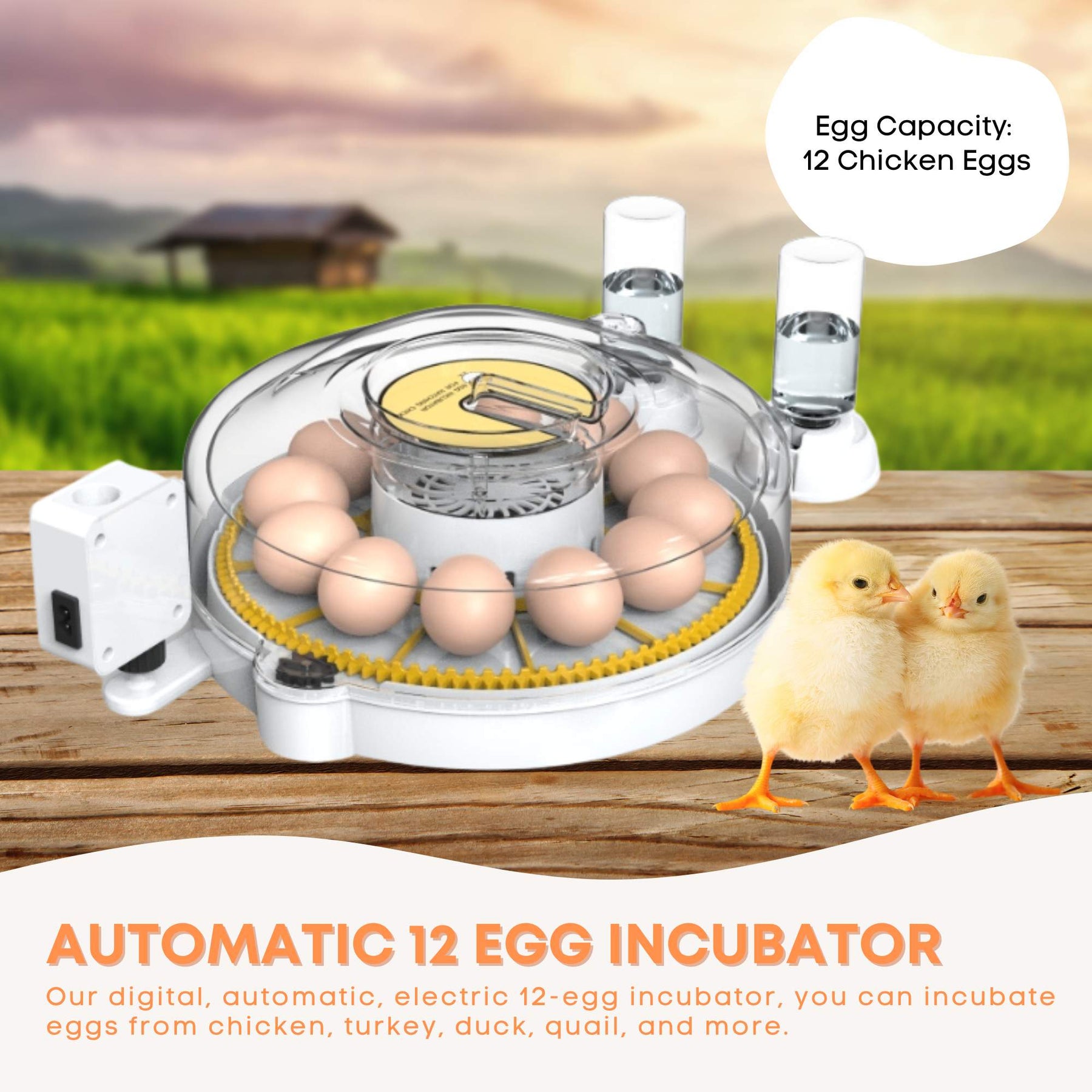 Digital Automatic Egg Incubator for 12 Eggs - Chicken, Quail, Duck, Auto Turning - SuperSaverAU - view 2