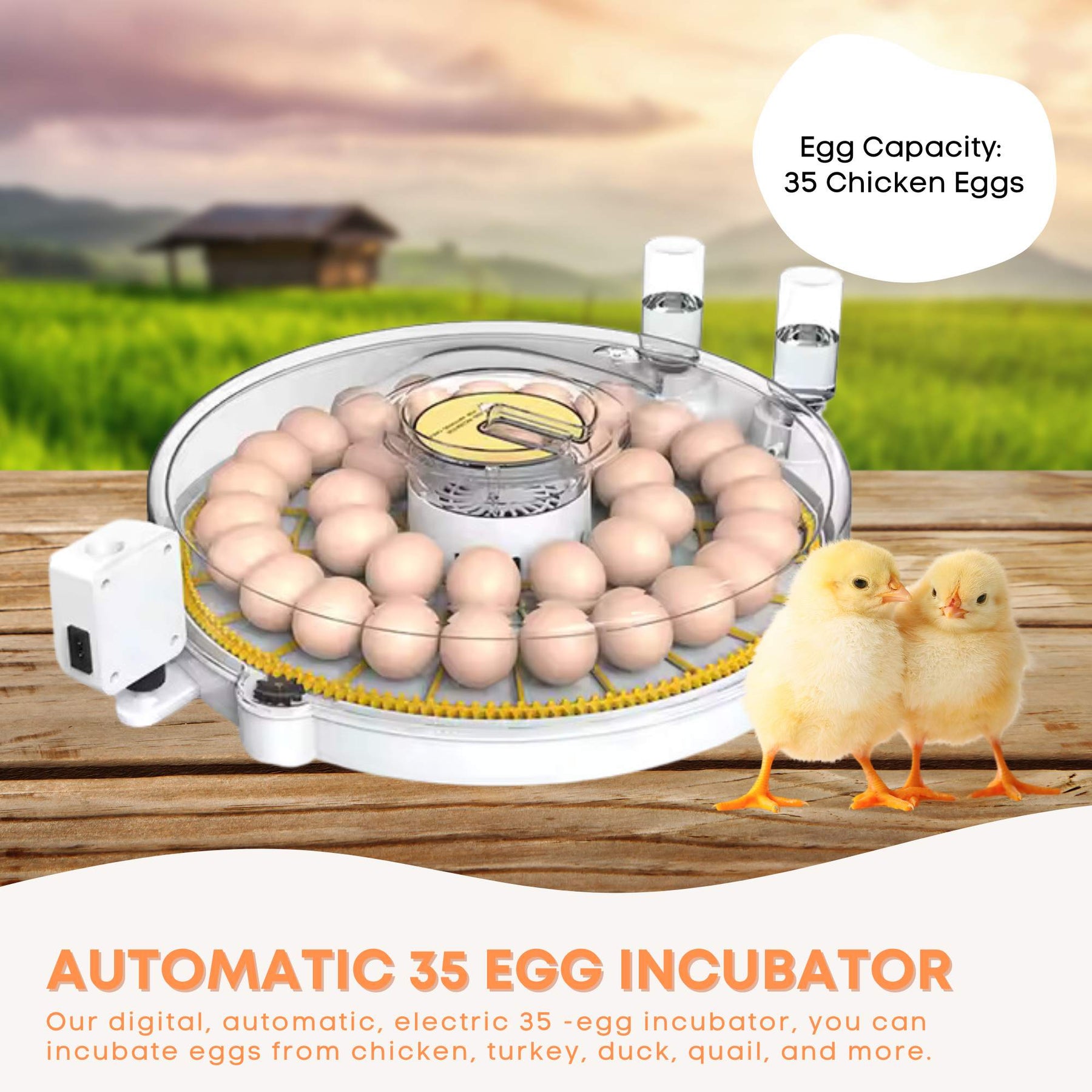Digital Automatic Egg Incubator - 35 Egg Capacity, Dual Power, Auto Turning & Water Supply - SuperSaverAU - view 2