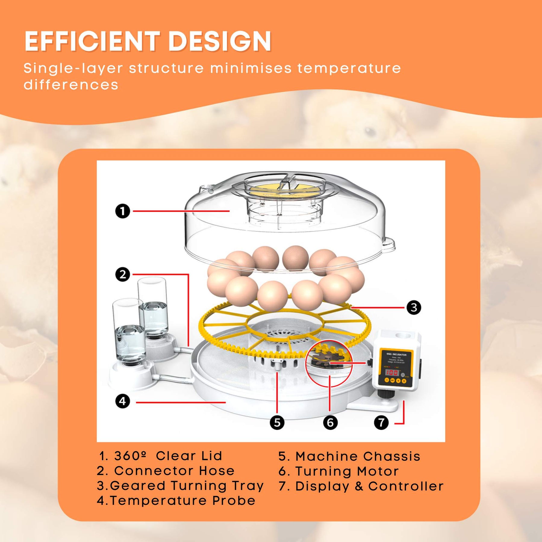 Digital Automatic Egg Incubator - 35 Egg Capacity, Dual Power, Auto Turning & Water Supply - SuperSaverAU - view 3