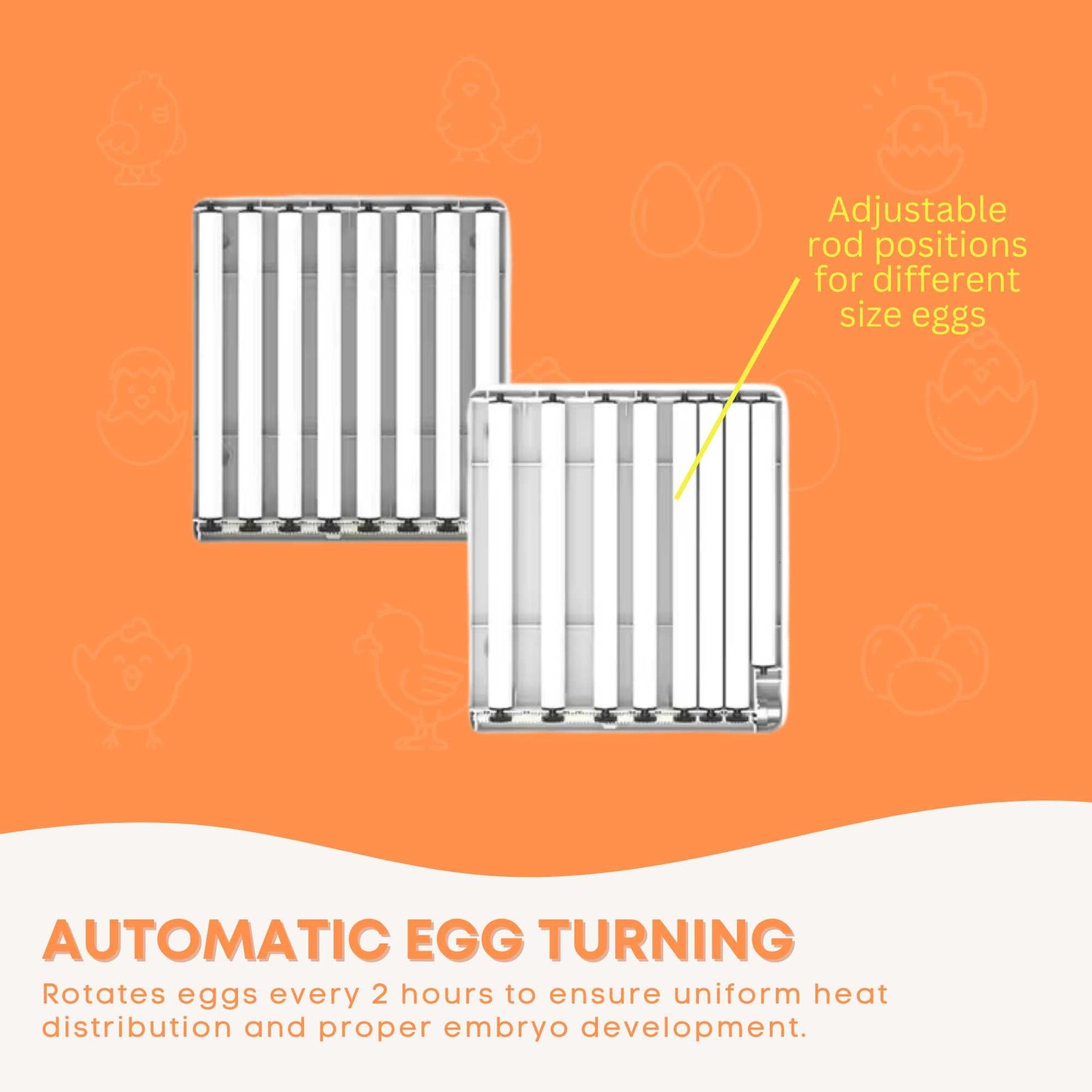 Premium Automatic 48 Egg Incubator with Digital Turning