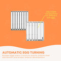 Premium Automatic 70 Egg Incubator with Digital Turning