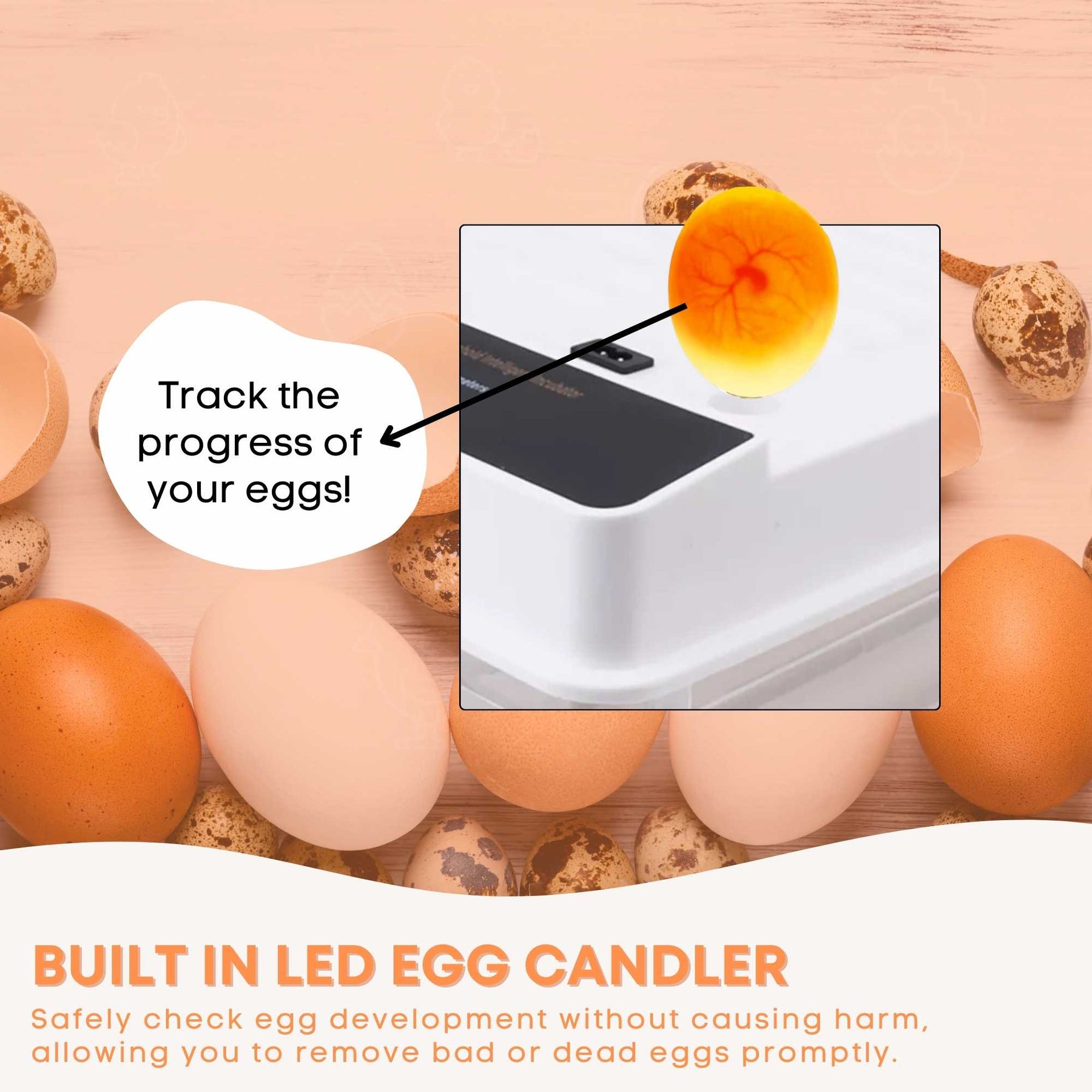 Premium Automatic 70 Egg Incubator with Digital Turning