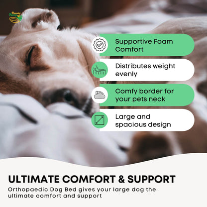 Orthopaedic Dog Bed XL Grey - Memory Foam, Waterproof, Removable Cover, 95 x 70 cm