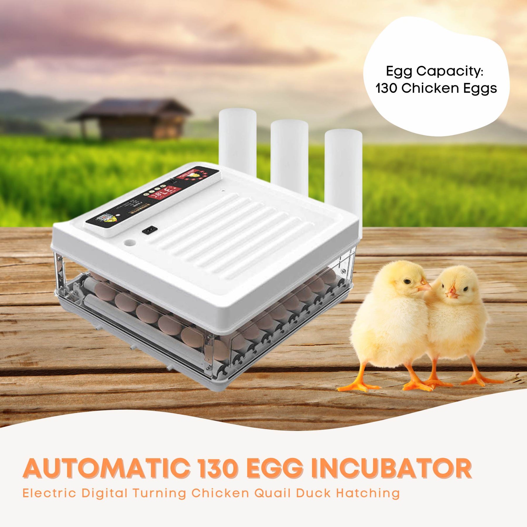 Premium Automatic 130 Egg Incubator with Digital Turning