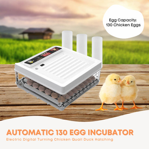 Premium Automatic 130 Egg Incubator with Digital Turning