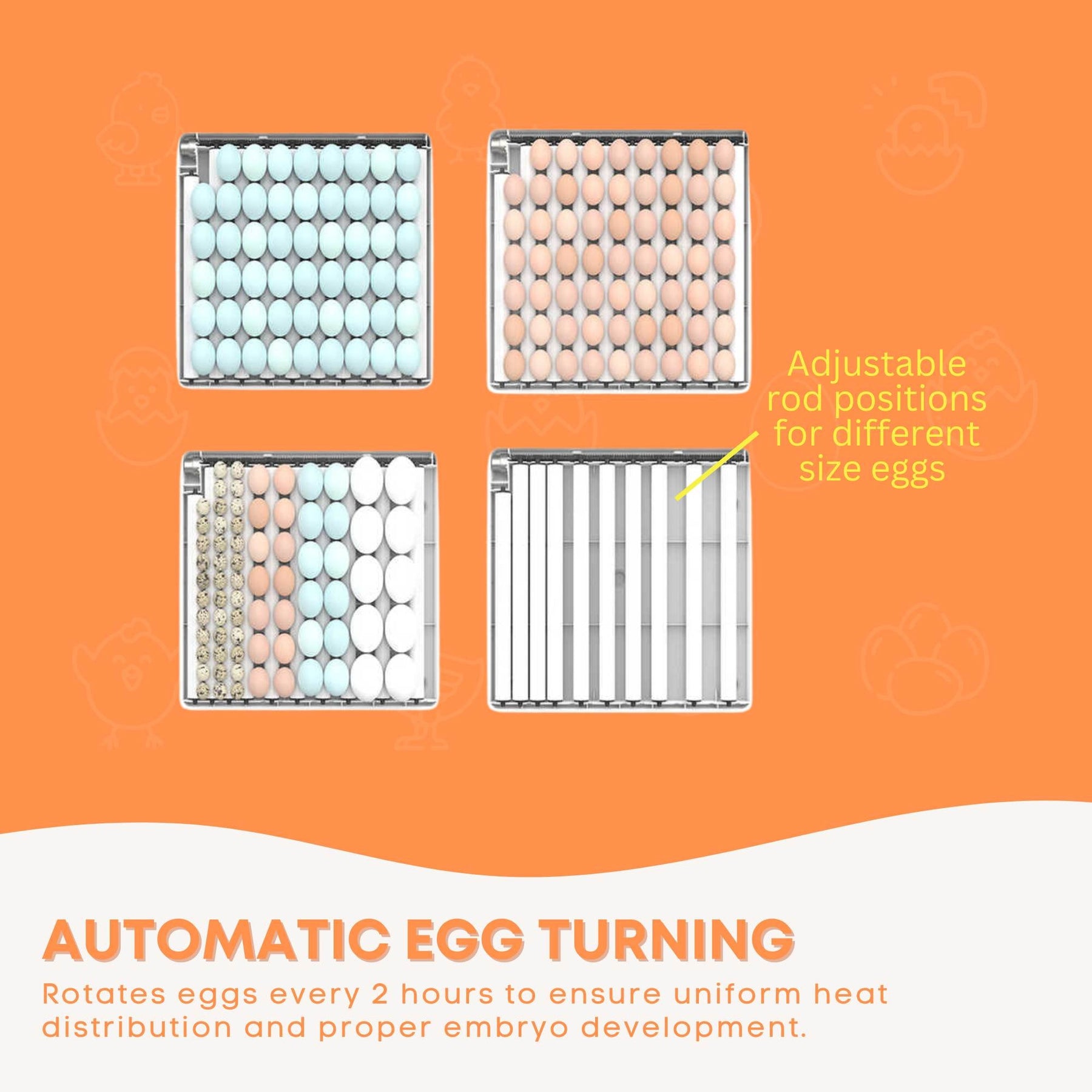 Premium Automatic 130 Egg Incubator with Digital Turning