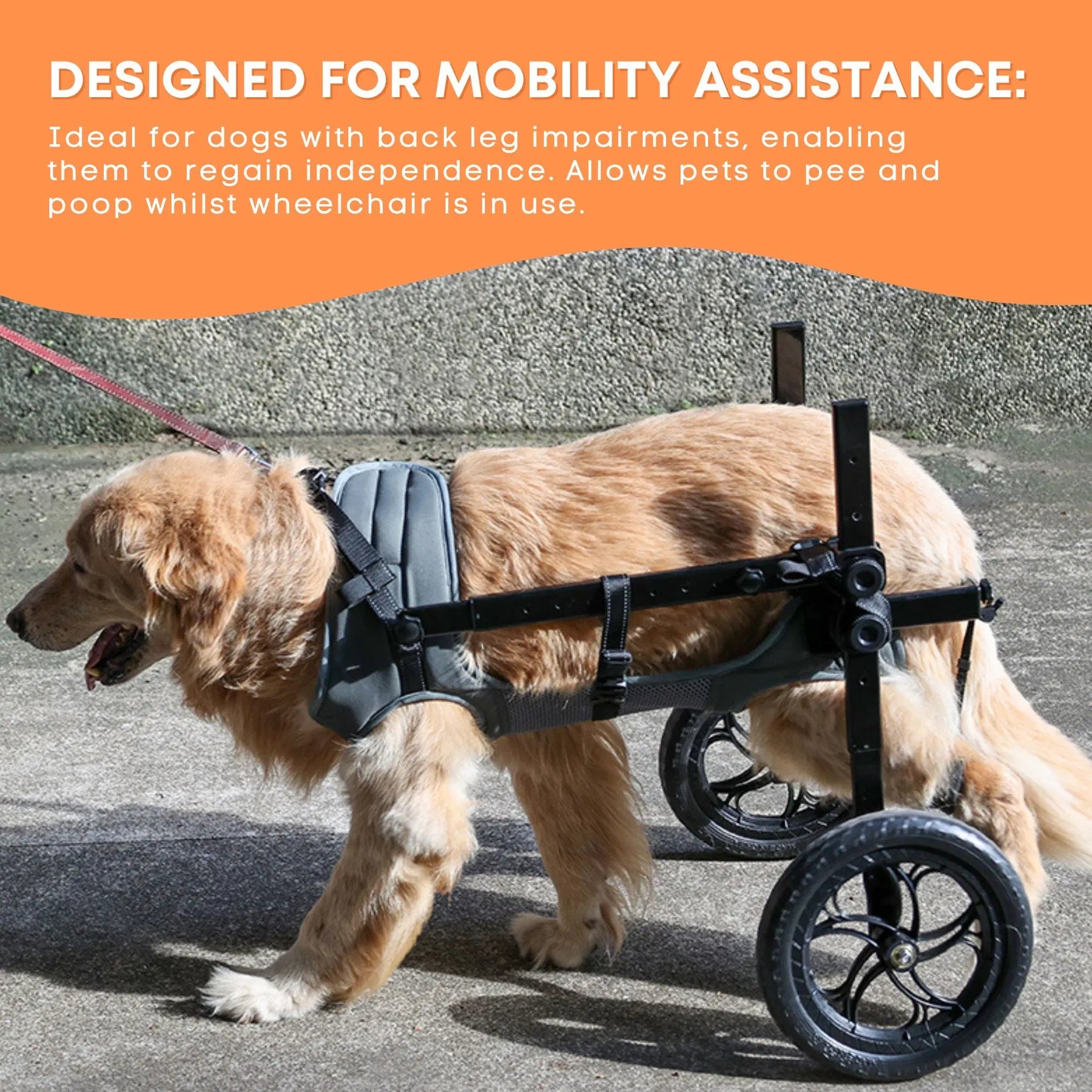 Rooster Farms Large Dog Wheelchair XL Harness - Adjustable, Durable, Lightweight