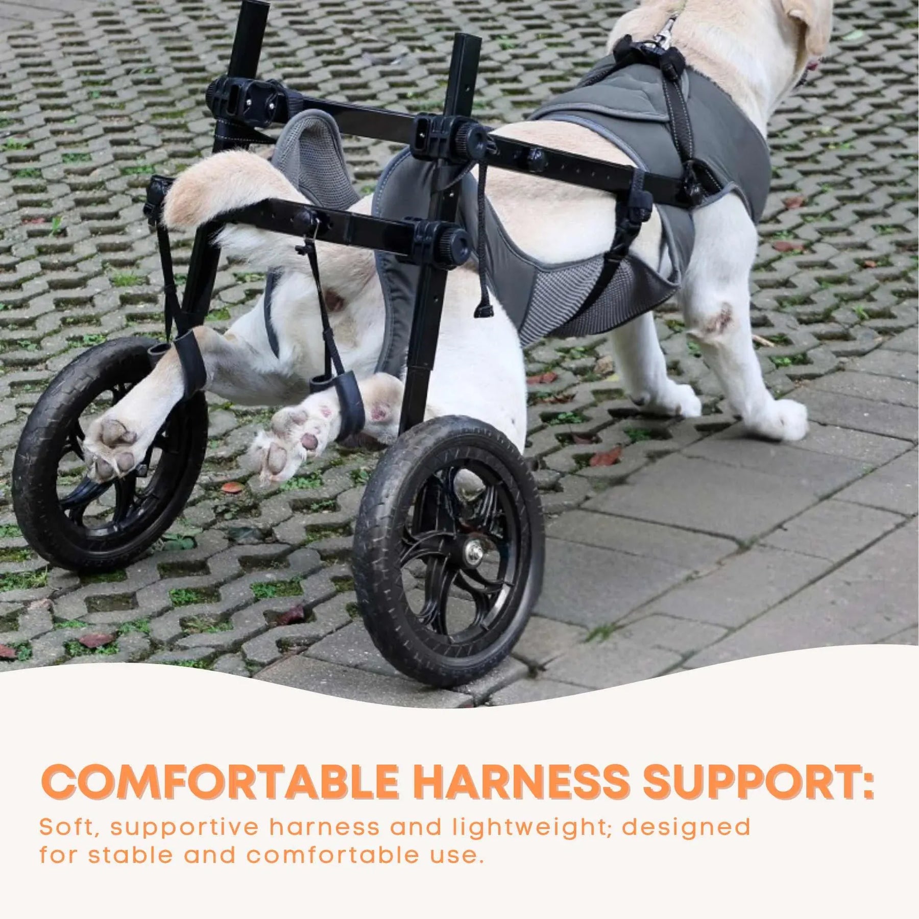 Rooster Farms Large Dog Wheelchair XL Harness - Adjustable, Durable, Lightweight
