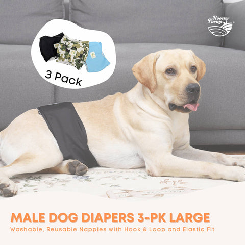 Rooster Farms Male Dog Diapers Large 3-Pk Washable Leak-Proof Nappies - SuperSaverAU - view 2