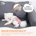 Rooster Farms X-Small Female Dog Diapers 3-Pk Washable Reusable Nappies