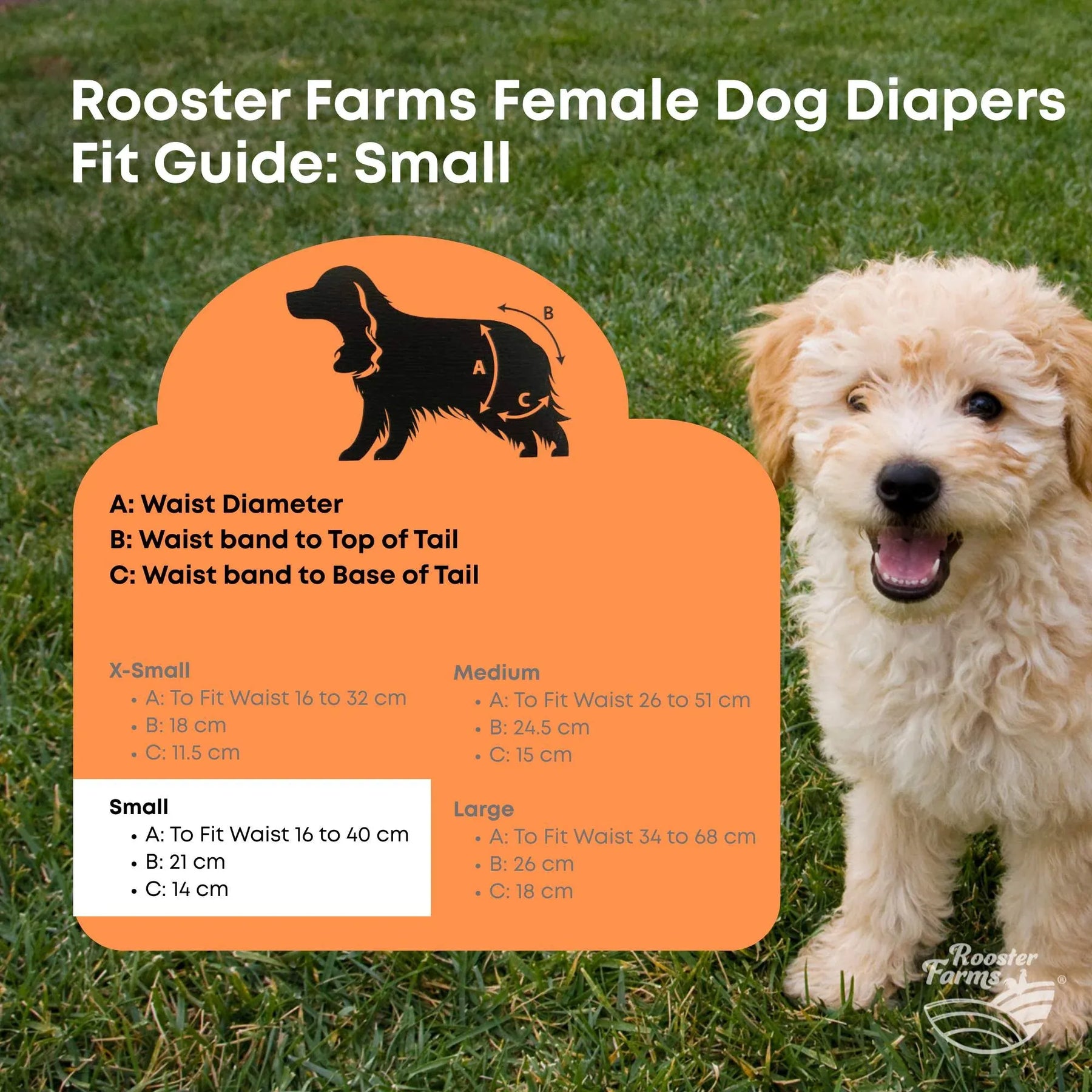 Rooster Farms Female Dog Diapers Small 3Pk Washable Reusable Nappies