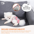 Rooster Farms Female Dog Diapers Small 3Pk - Washable Reusable Nappies Hook/Loop - SuperSaverAU - view 3